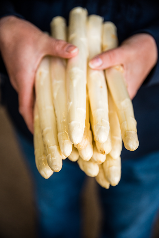 Iemand houdt verse witte asperges vast