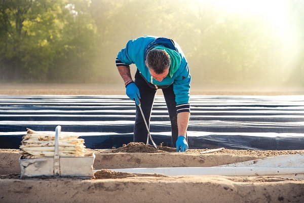 Asparagus Bike Tour Leudal