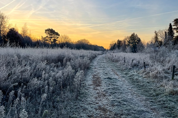 The sun rises over an icy National Park de Meinweg