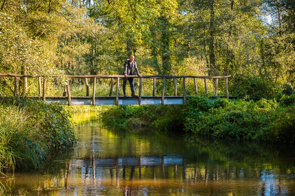 Wandelaar geniet van het uitzicht op een brug over de beek tijdens het wandelen in Nationaal Park De Meinweg