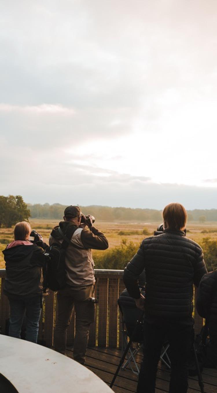 Bezoekers kijken met verrekijkers vanaf een houten uitkijkplatform over het open natuurlandschap van KempenBroek.