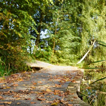 Knuppelpad in natuurgebied sarsven en de banen