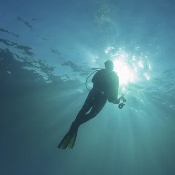 Duiker onder water bij duiklocatie Boschmolenplas, met zonlicht dat door het heldere water schijnt.
