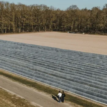 Wandelen langs asperges